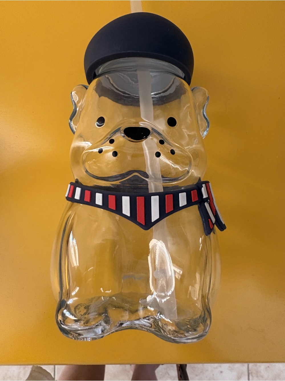 Clear Dog Shaped Glass Water Bottle with Straw